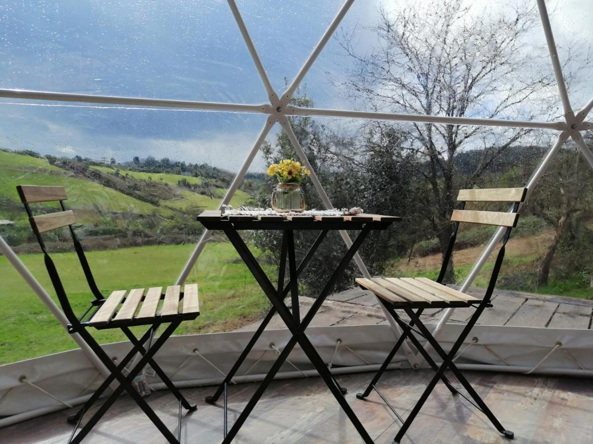 Glamping Quintana Gijón Exterior foto