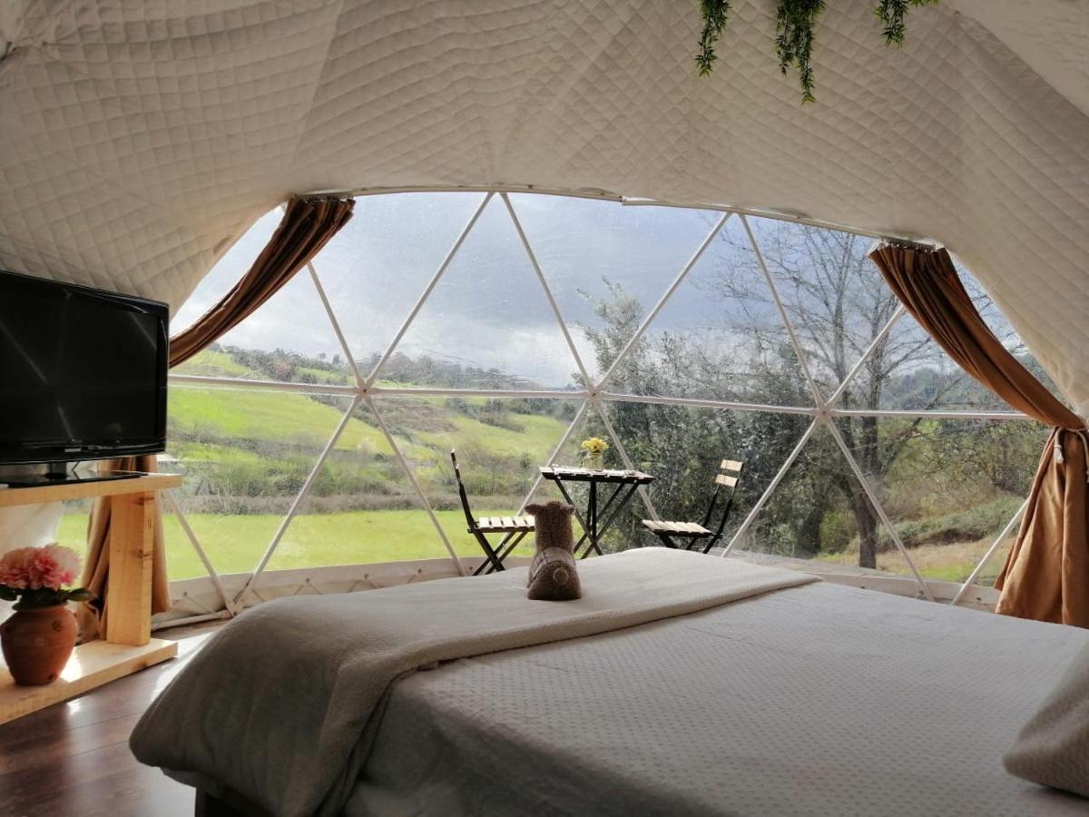 Glamping Quintana Gijón Exterior foto