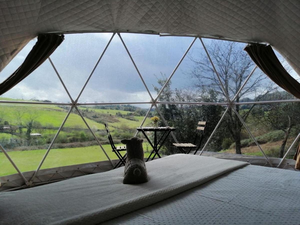 Glamping Quintana Gijón Exterior foto