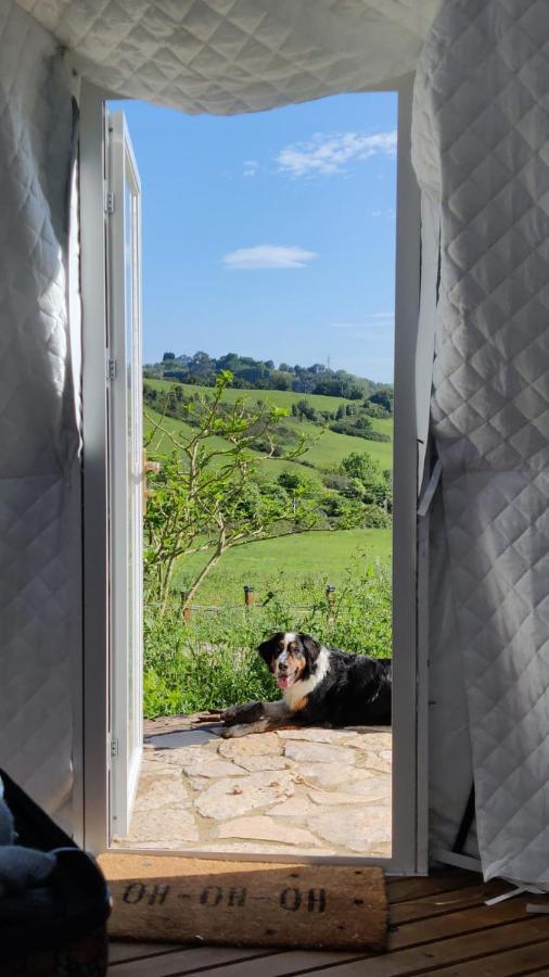 Glamping Quintana Gijón Exterior foto